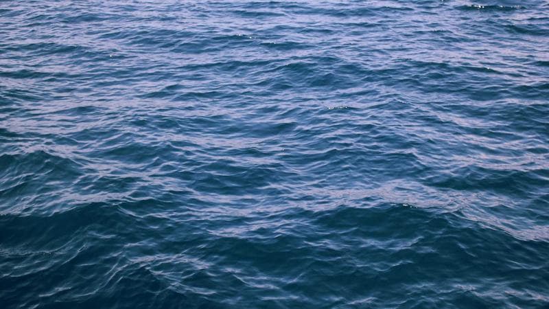 Visa Conversion Rules Abroad: Complete Guide to Changing Visa Types Internationally